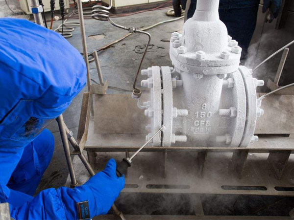 What are the advantages of low temperature gate valves in service?