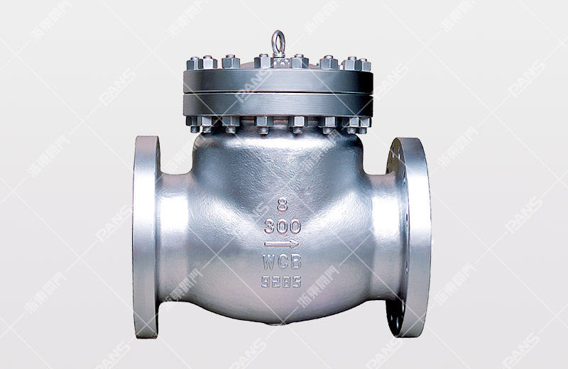 API check valve